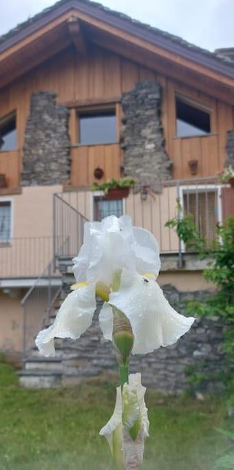 Valle D'Aosta A 360° - Ideal For Smart Working Aymavilles Exterior foto